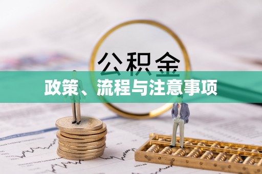 土默特左旗政策、流程与注意事项
