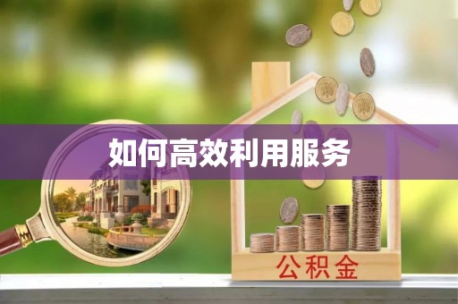 土默特左旗如何高效利用服务