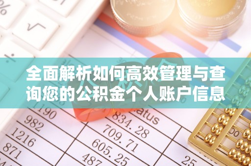 土默特左旗全面解析如何高效管理与查询您的公积金个人账户信息