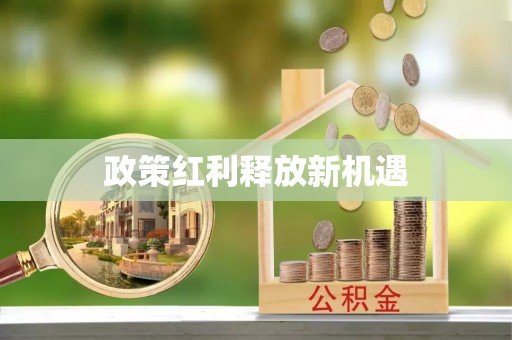 土默特左旗政策红利释放新机遇