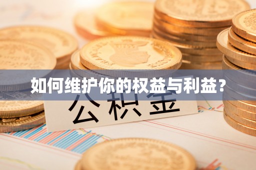 土默特左旗如何维护你的权益与利益？