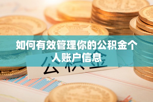 土默特左旗如何有效管理你的公积金个人账户信息