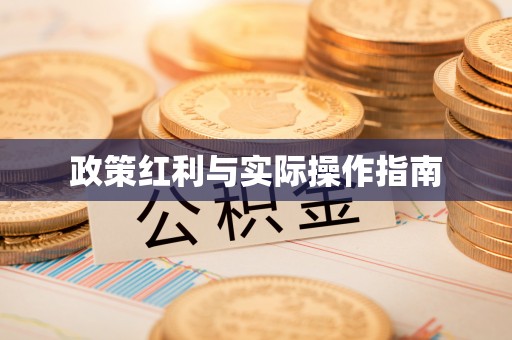 土默特左旗政策红利与实际操作指南