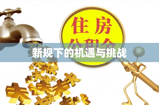 土默特左旗新规下的机遇与挑战
